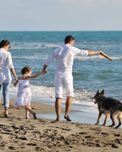 Vakantie met hond - Duinhof Holidays