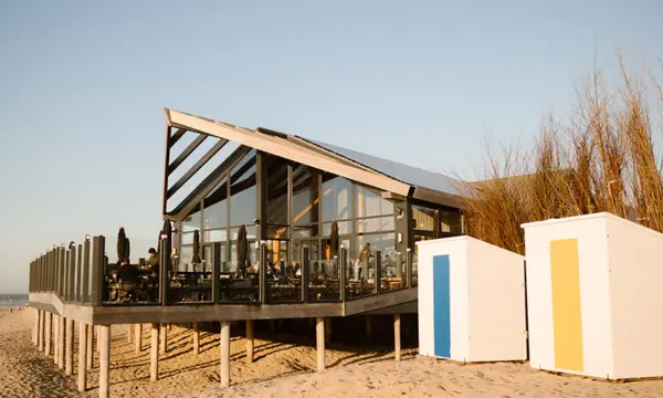 Gallery zeemeeuw 2025 23