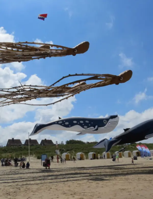 IMG 6433 scaled e1628069679827