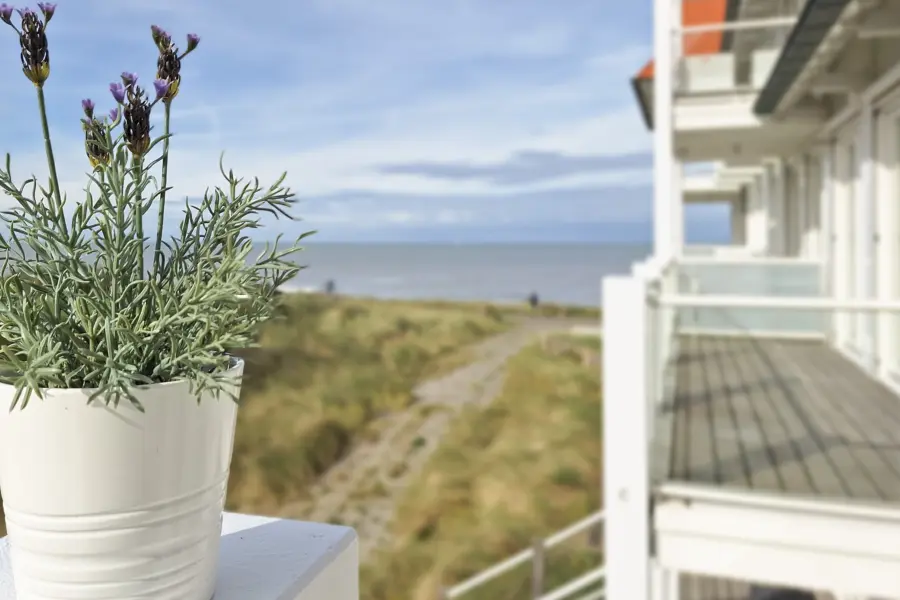 Picture76 638925812380270958