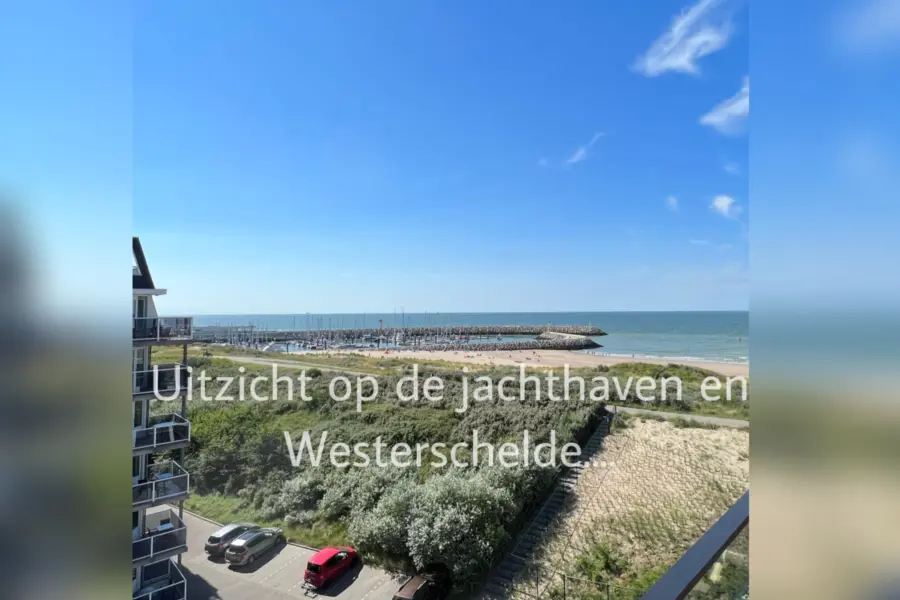 Picture76 638944085741212802