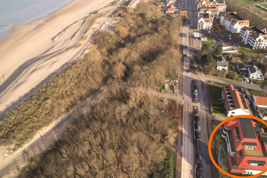 Picture76 638945644355631803