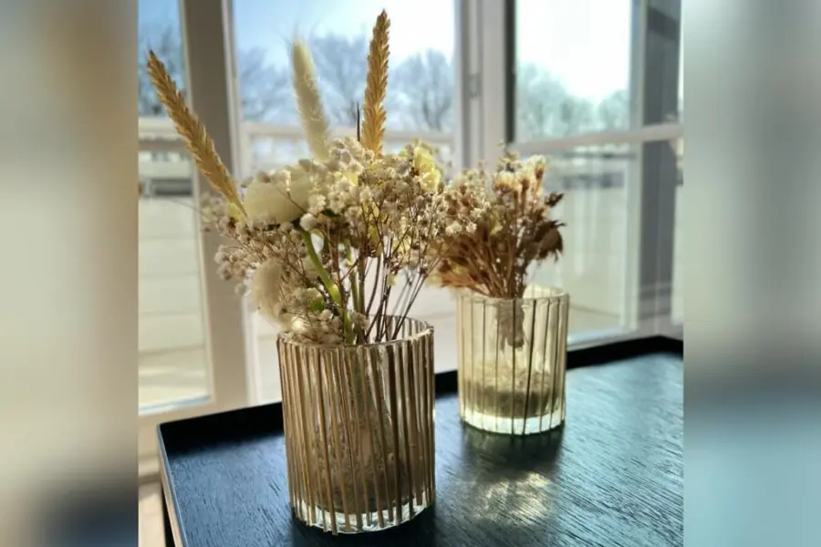 Picture76 638969800094184345