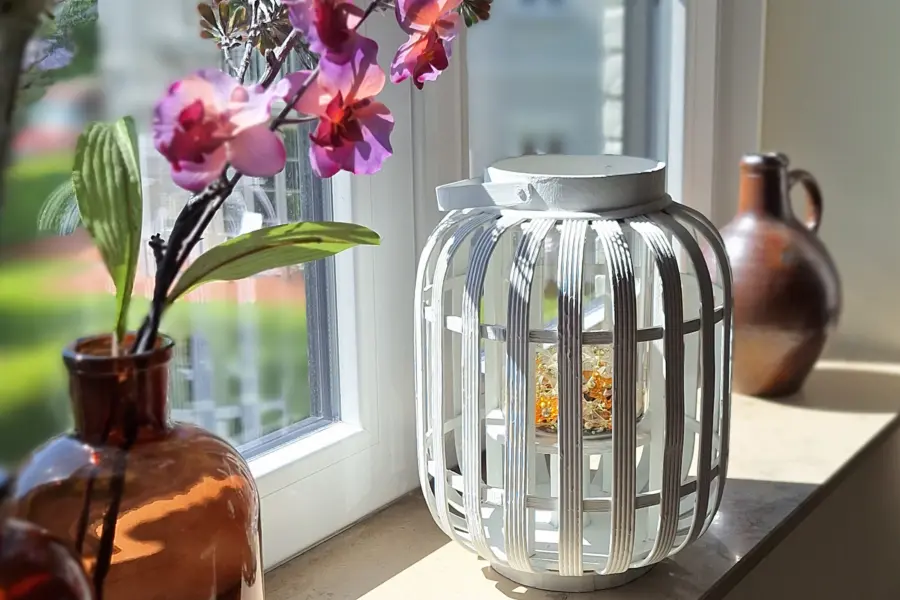 Picture76 638971532947245341