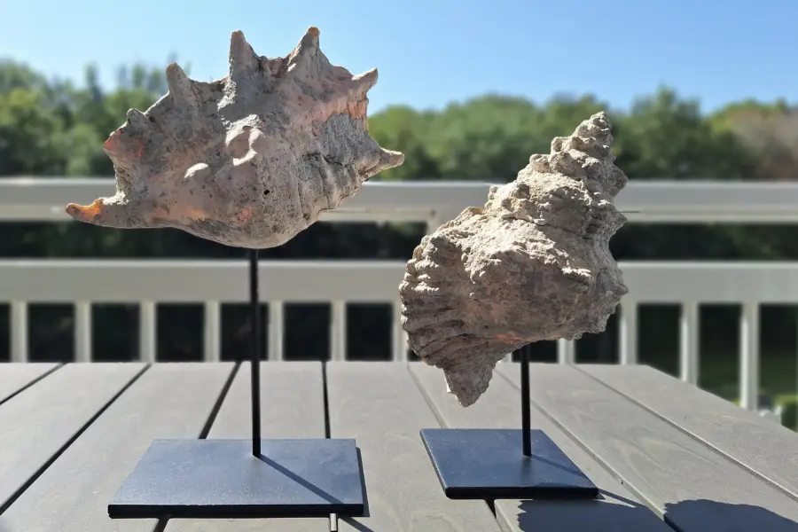 Picture76 638971570156537787