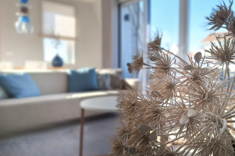 Picture76 638973292346222092