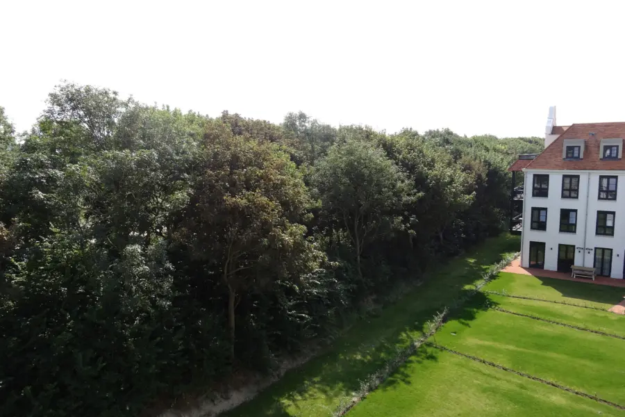 Picture76 638971744183283107