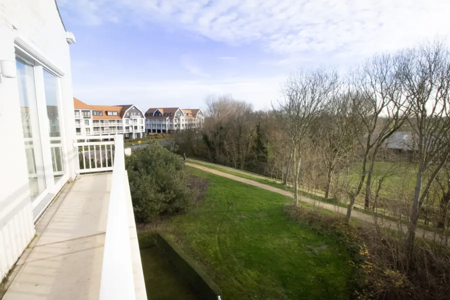 Picture76 638971751382075758