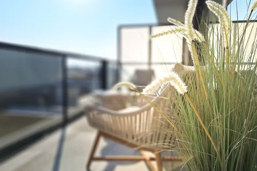 Picture76 639082364715262893