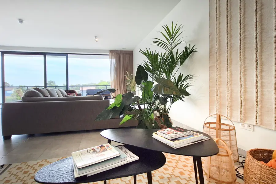 Picture76 638948349938643530