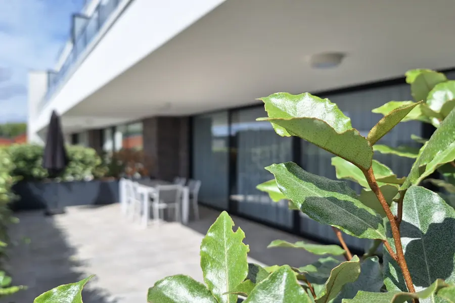 Picture76 638948344654138627