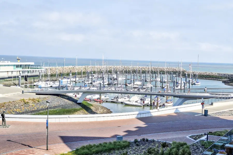 Picture76 638901665347656251