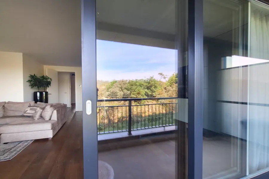 Picture76 638973445108858361