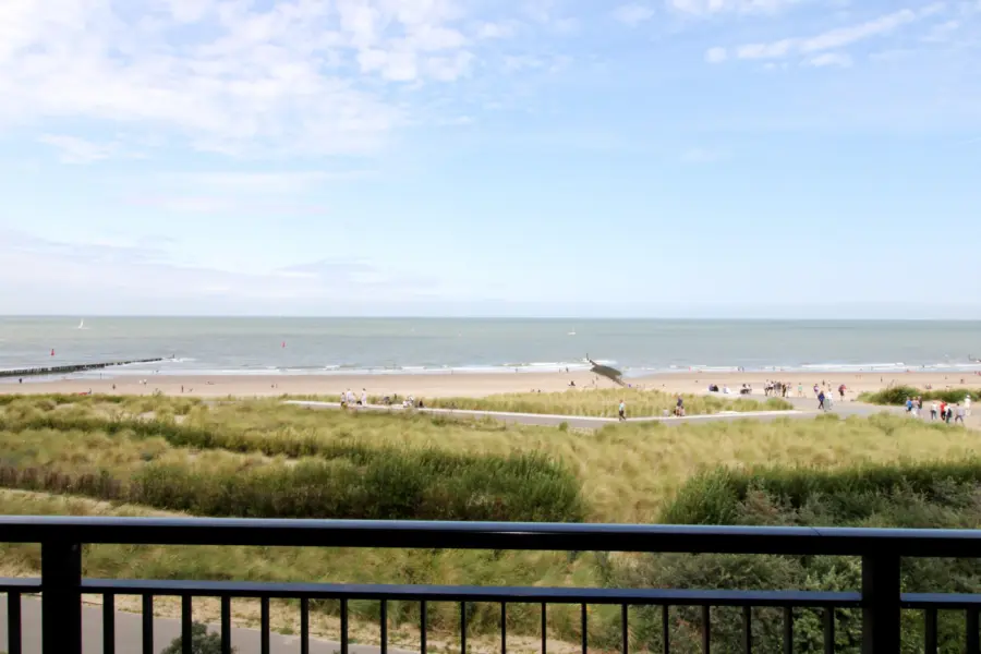 Picture76 638973431452049599