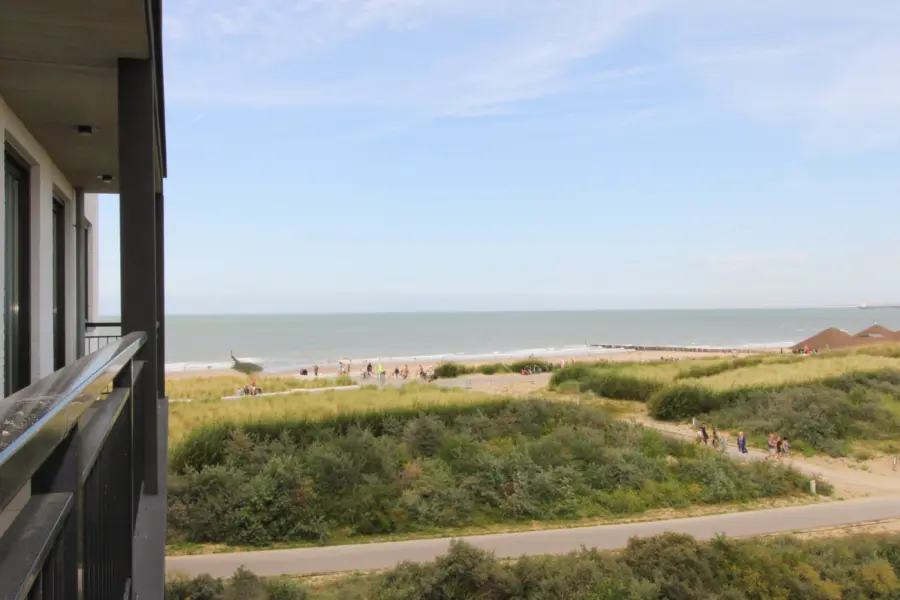 Picture76 638973431457381206