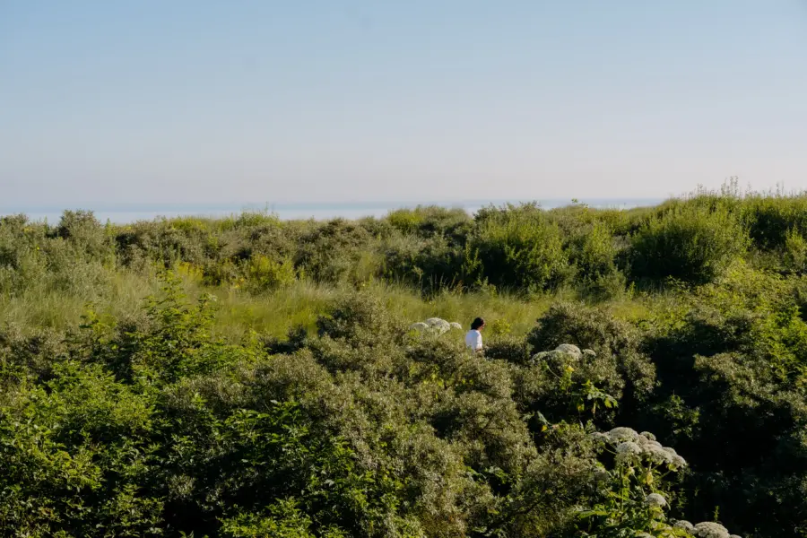 Picture76 639003479112920334