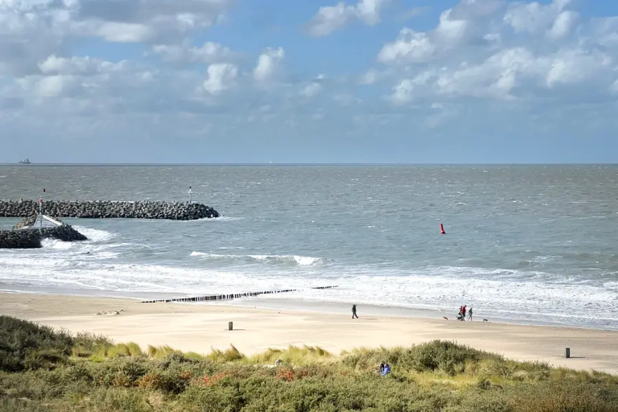 Picture76 639027062084121325