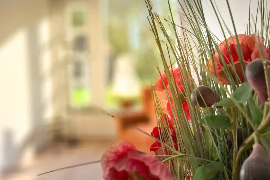 Picture76 638948384401215515